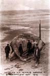 Stranded Whale 1914 - Cutting the Whale